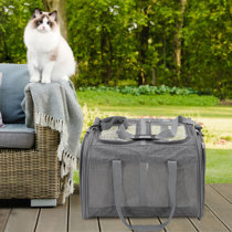 9x16x19 2025 pet carrier